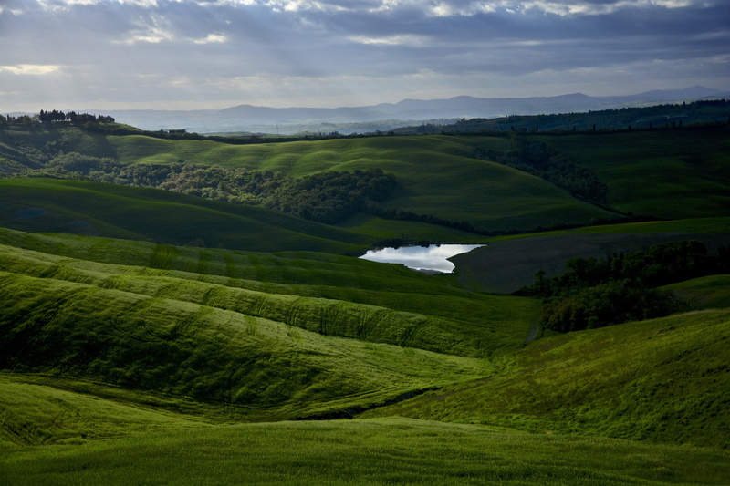 green grass, campagna, italy, siena, field, spring, nature, green, tuscany, cloudy, grass, italia, rolling hills, hill, Today, crete senesi, green Color