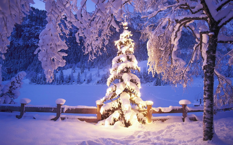 snowy, photography, Christmas, tree, abstract, Lights, hd, mountains, art, forest, christmas tree, 1080P, foothills