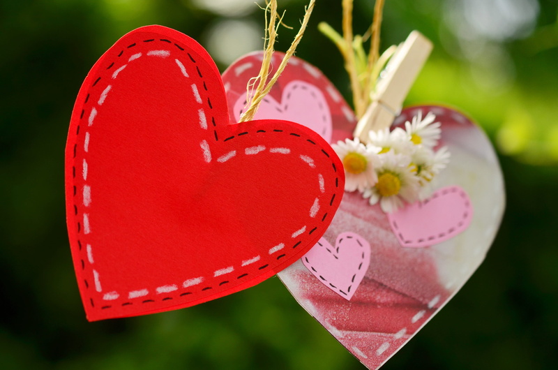 feelings, candy heart, no people, decor, together, positive emotion, symbol, heart shape, near, nature, connectedness, 4K, emotion, plant, celebration