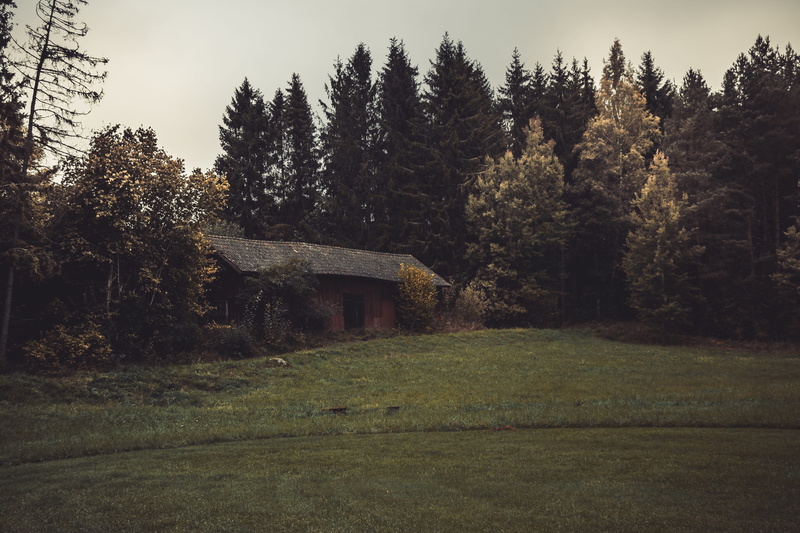 built structure, tranquility, no people, plant, building exterior, cottage, outdoors, farm, forest, landscape, green color, tree, rustic, scary, grass