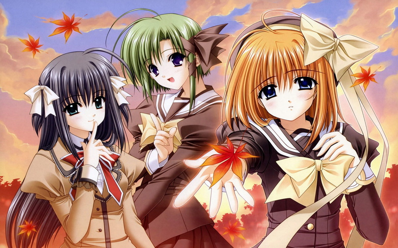 art and craft, multi colored, women, really, three, choice, no people, representation, side by side, anime, beautiful, creativity, in a row, large group of objects