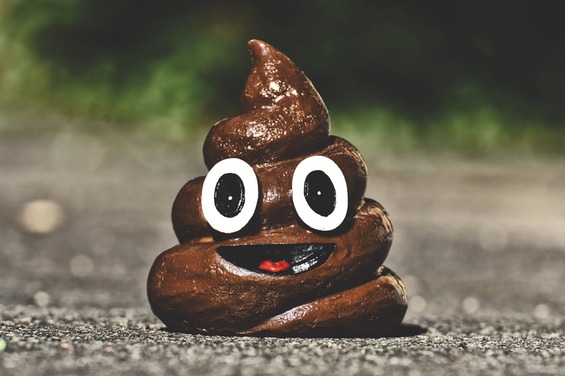 anthropomorphic, representation, human representation, pile, laugh, outdoors, 5K, nature, funny, fun, creativity, art and craft, close-up, poop, no people