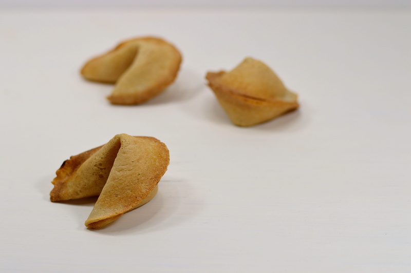 simplicity, chinese food, fresh, fortune telling, baking, luck, china, concept, wisdom, freshness, baked, studio shot, prediction, delicious, traditional