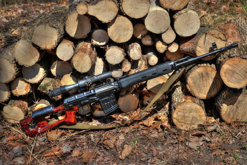 timber, day, deforestation, tree, nature, stack, large group of objects, weapon, wood - material, lumber industry, Dragunov sniper rifle, field, no people