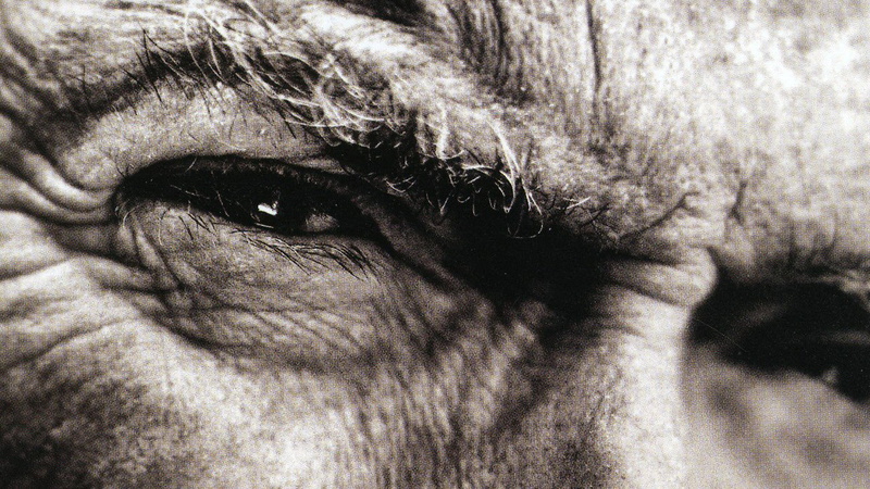 1080P, Actors, Clint Eastwood