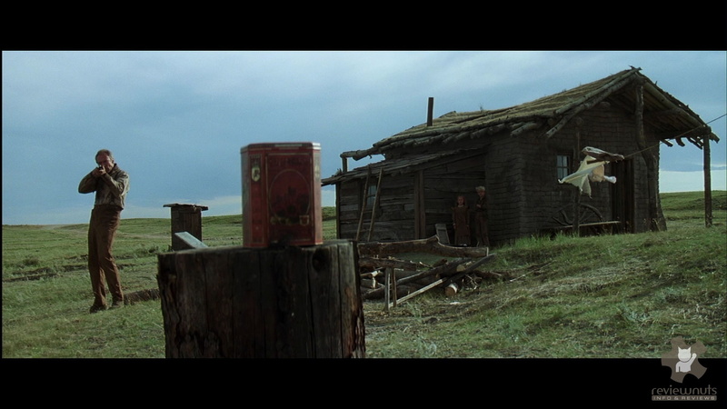 movies, western, wood - material, landscape, standing, outdoors, sky, house, deterioration, obsolete, full length, auto post production filter, building exterior