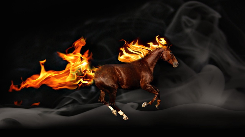 horse, 1080P, 3d and abstract, fire, animal, black