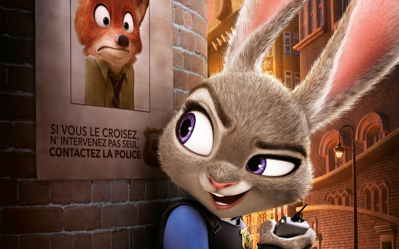looking at camera, whisker, feline, one animal, animal eye, Hollywood Movies, close-up, 2K, hopps, animated, domestic animals, indoors, no people, animal