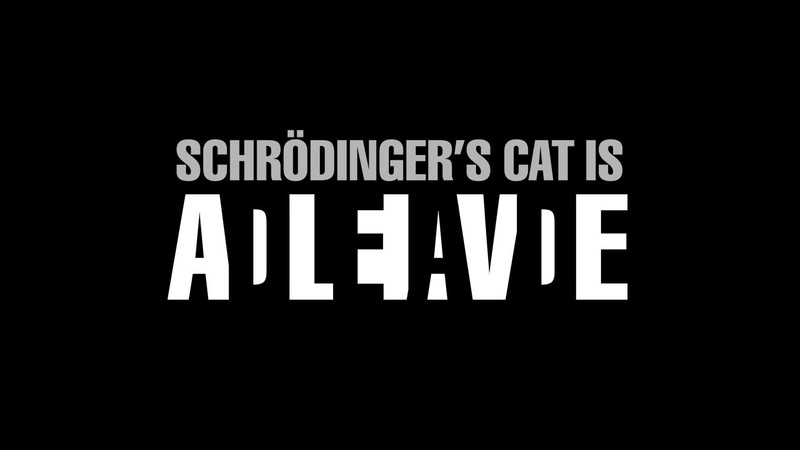 art, cats, 1080P, x, hd, schrdingers, Schrödingers Cat, animals, cat