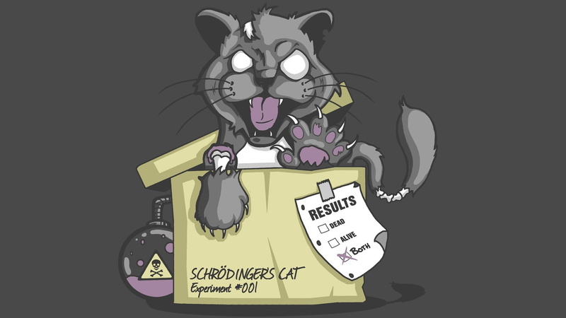 schrdingers, art, artwork, 1080P, hd, cat, animals, schrdinger, x, Schrödingers Cat, cats