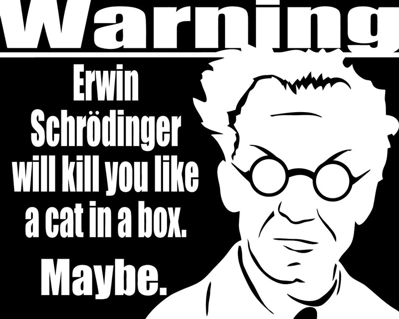 cats, art, 720P, Erwin Schrödinger, hd, x, schrdingers, cat, Schrödingers Cat, schrdinger, erwin, animals