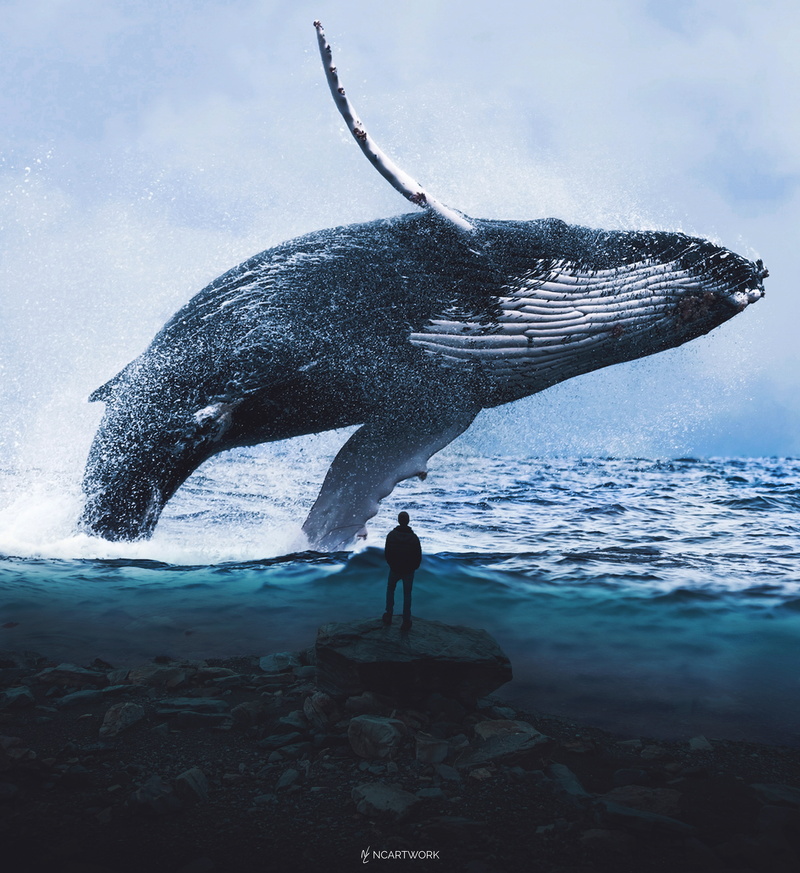 Water, 4K, 4K, Man, Dream, Blue Whale