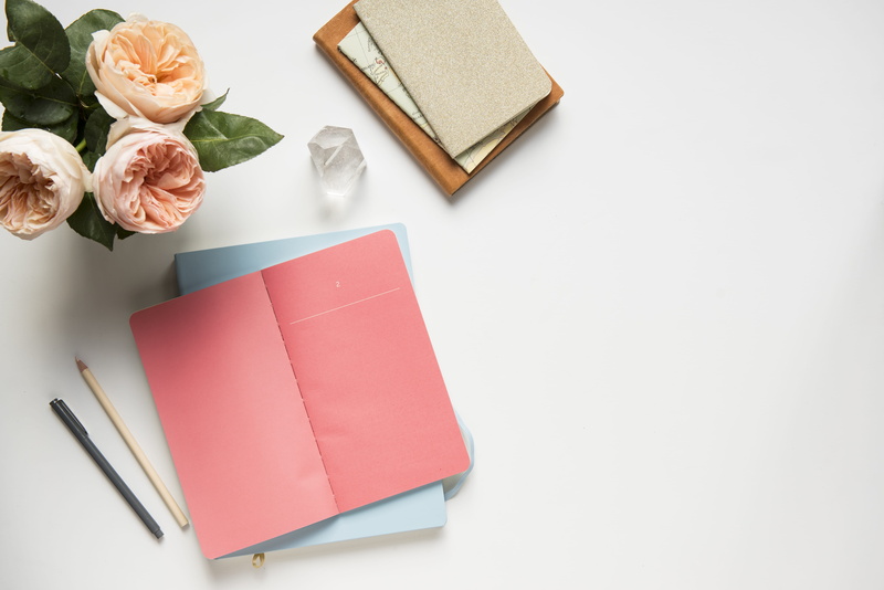 high angle view, copy space, plant, flower, photography, covered, indoors, stationery, flat, rose, freshness, no people, book, view, paper, pen, lay, table