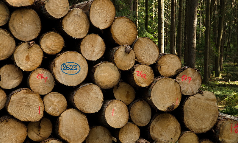 environmental issues, stack, abundance, deforestation, 4K, trebonsko, fossil fuel, heap, large group of objects, woodpile, tree, woodland, wood, full frame