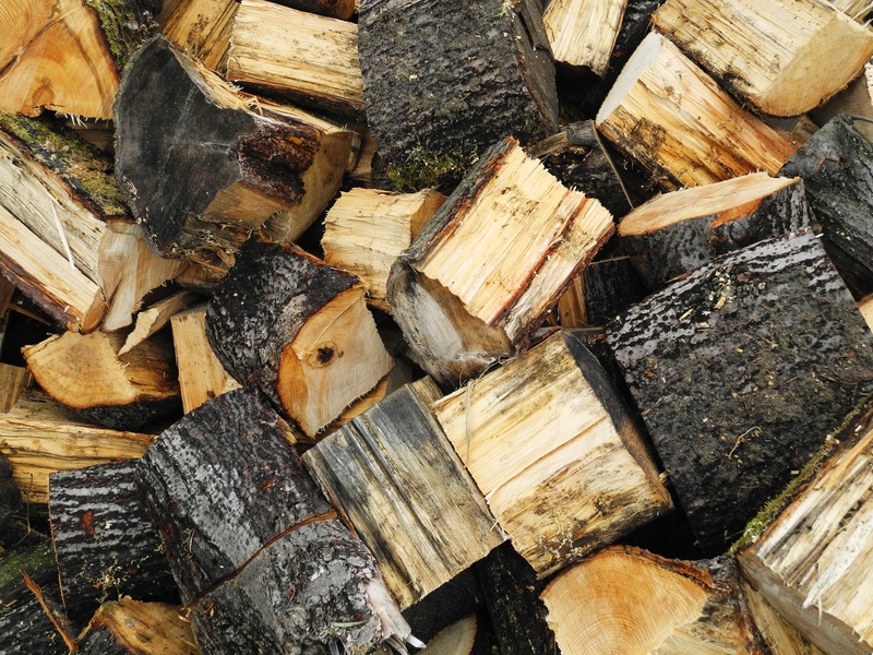 wood - material, tree, deforestation, fuel and power generation, heat, fossil fuel, timber, log, lumber industry, nature, tree bark, backgrounds, 2K, losers