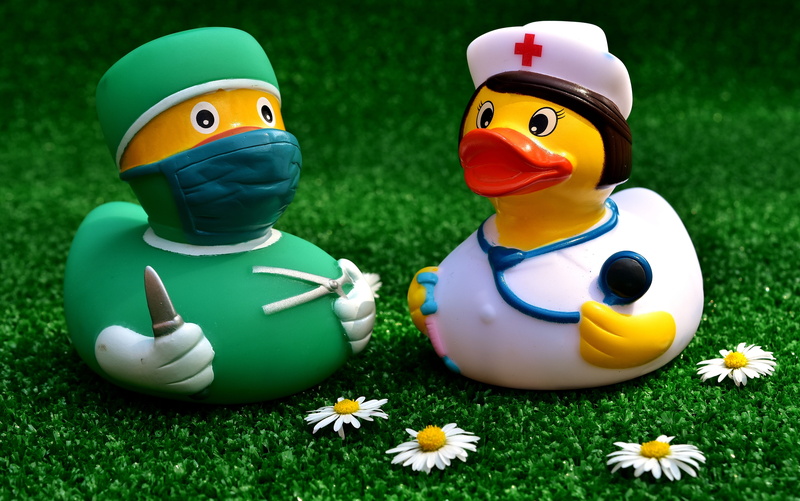 close-up, op, nurse, doctor, flower, duck, profession, surgeon, rubber duck, yellow, patient, two objects, 5K, green color, flowering plant, plant, grass