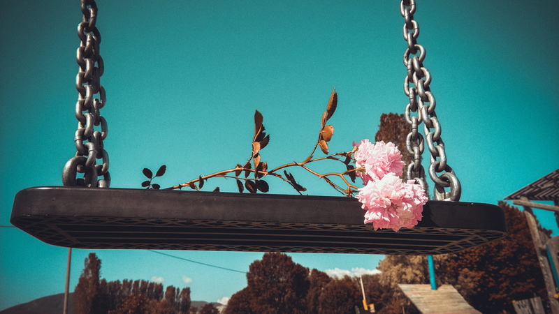 pogradec, swing, outdoors, nature, pink color, growth, metal, sky, close-up, albania, 2K, plant, no people, flower, day, architecture, low angle view