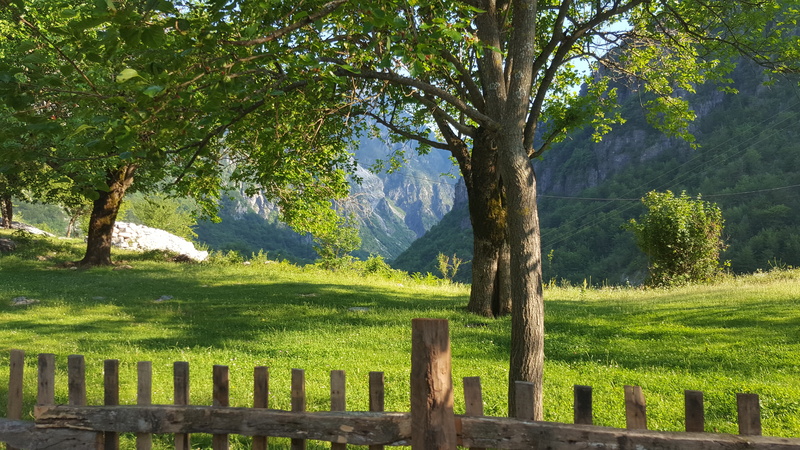 landscape, trees, theth, fence, boundary, beauty, beauty in nature, mountain, land, peace, tree, 5K, green color, trunk, environment, scenics - nature