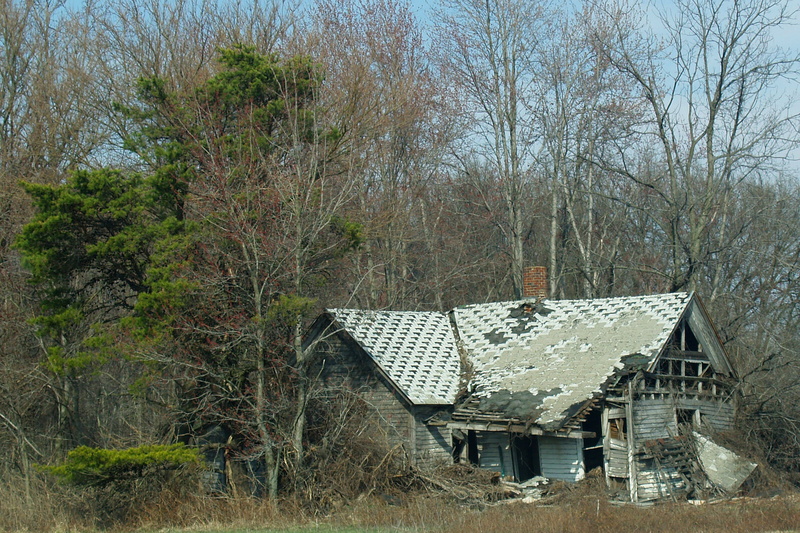 wood, destroy, built structure, structure, destruction, old, no people, construction, tree, housing, 4K, real, nature, bare tree, forest, exterior, land