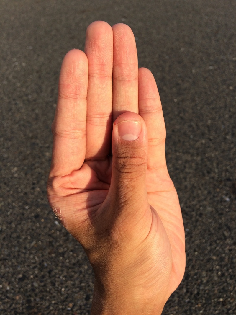 lifestyles, fatigue, representation, beauty, hospital, nail, religion, compact, palm reading, pot, unlucky, horoscope, happy, efficiency, lifeline, show