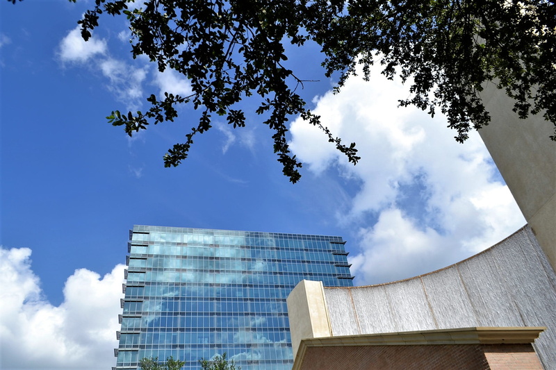skyscraper, financial, tree, directly below, apartment, reflection, design, district, perspective, business, growth, building, sky, investment, buildings