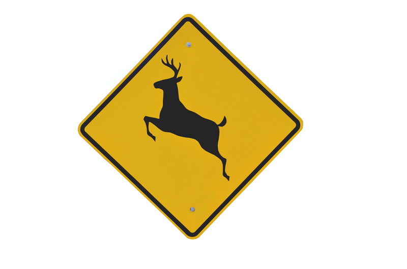 human representation, antler, white background, metal, forest, cultures, icon, ahead, wild, warning sign, roadsign, studio shot, hunting, traffic, road