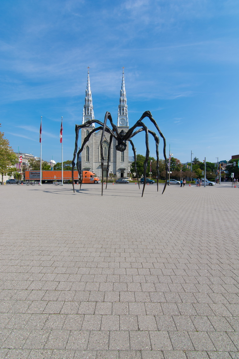 5K, road, city, travel destinations, incidental people, maman, blue, street, travel, sky, nature, architecture, cobblestone, ottawa, paving stone, ontario