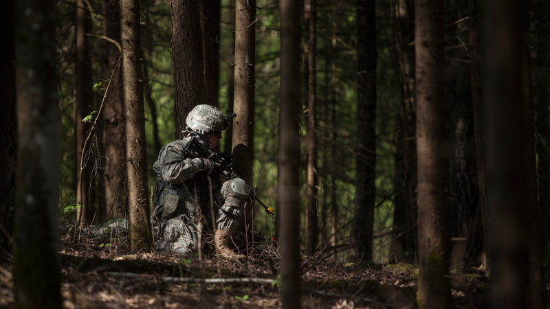 growth, woodland, nature, plant, military, adult, gray, government, trunk, s, 2K, outdoors, armed forces, blank-firing adapter, land, weapon, tree, soldier