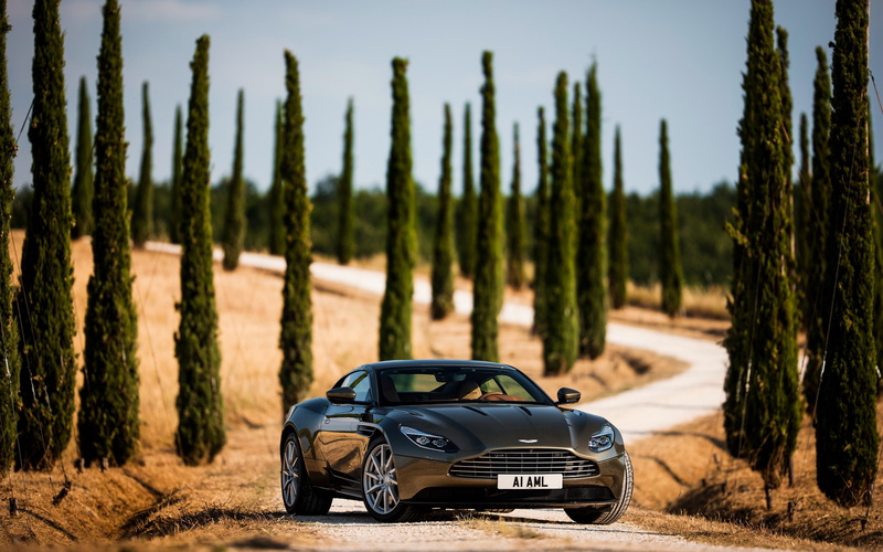 landscape, land vehicle, environment, field, transportation, nature, travel, focus on foreground, growth, land, day, road trip, plant, Tuner Car, mode of transportation