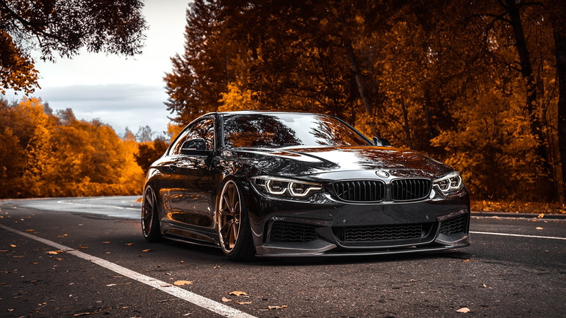 1080P, BMW, Tuner Car, black, orange, forest
