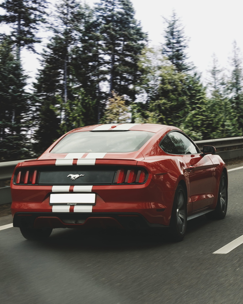 outdoors, ford, 4K, america, us, motion, transportation, forest, car, race, toy car, red, land vehicle, motor vehicle, sports car, import, day, plant