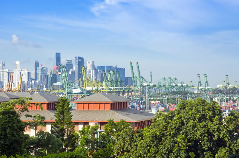 plant, built structure, outdoors, modern, landscape, cityscape, crane, office building exterior, tall - high, city, freight, settlement, high angle view