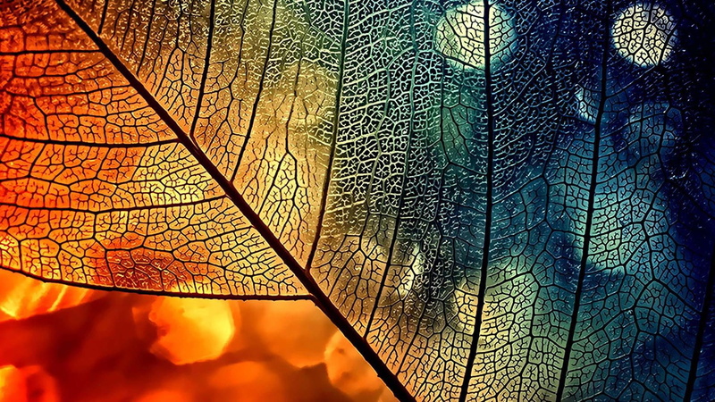 web, structure, light, 1080P, design, net, abstract