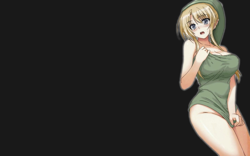 x, games, rule 63, 1080P, video, art, Link, rule, zelda, hd