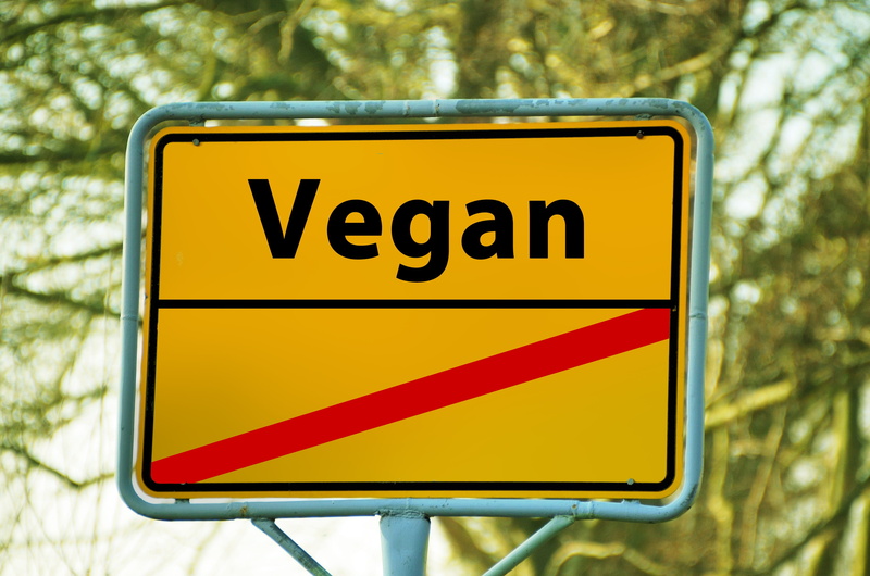 board, sign, warning sign, warning symbol, vegan, yellow, shield, climate change, road, guidance, close-up, no people, direction, directional sign, text