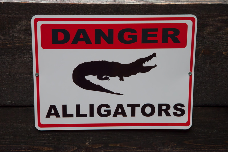 domestic, domestic animals, alligator, animal wildlife, sign, mammal, information sign, danger, red, animal, no people, representation, warning sign, animal representation