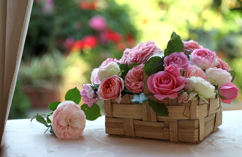 wood - Material, gift, blossom, fragility, flower arrangement, day, arrangement, rose, basket, celebration, vulnerability, rose - Flower, springtime, pink