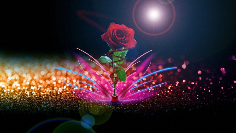 sun, love, darken, leaf, abstract, valentine, red, pink, rose, heart, 4K, feeling, lighten, black, shadows, cyan, rays