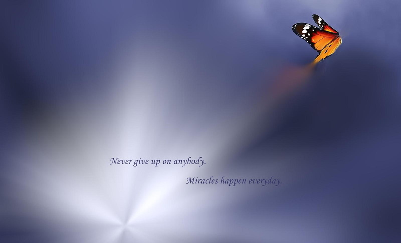 purple, words, word, abstract, butterfly, 720P, never, give