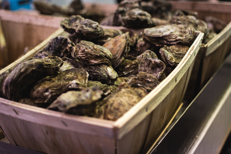 5K, market, container, large group of objects, close, selective focus, no people, focus on foreground, day, still life, seafood, food, retail, freshness
