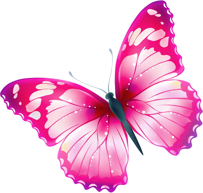 art and craft, animal wildlife, fluture, animal, 2K, pink color, animal wing, card, beauty in nature, animal themes, cut out, studio shot, pink, Butterfly