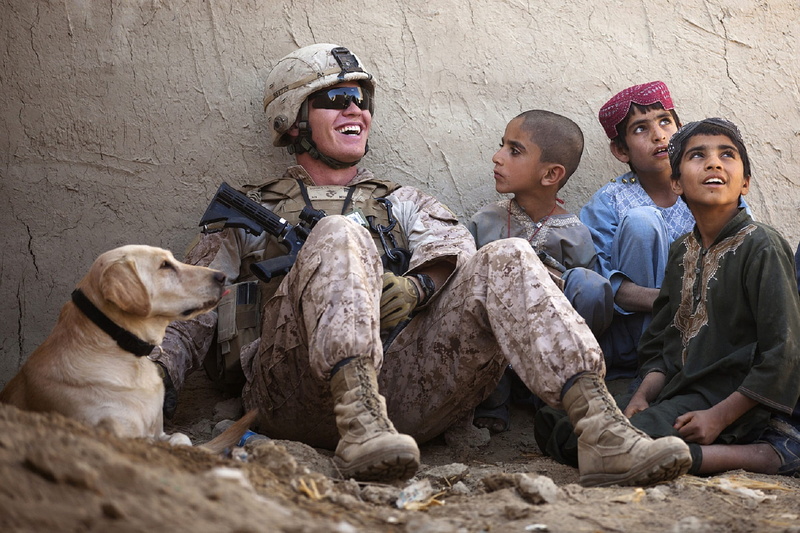 government, clothing, soldier, men, joking, labrador, retriever, military uniform, males, armed forces, military, looking, people, uniform, yellow, humanity