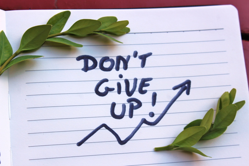 boxwood, no people, text, cover letter, leaves, studio shot, dont give up, leaf, flower, handbook, close-up, freshness, book, spiral notebook, beauty in nature
