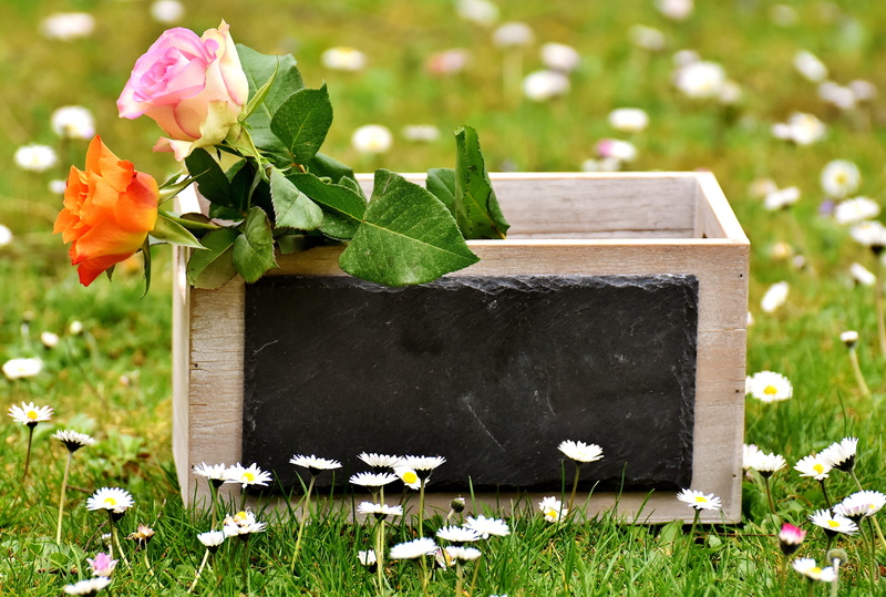 fragility, give, field, roses, flowers, decoration, no people, wood - material, vulnerability, plant, flower, rectangular, orange, all the best, freshness