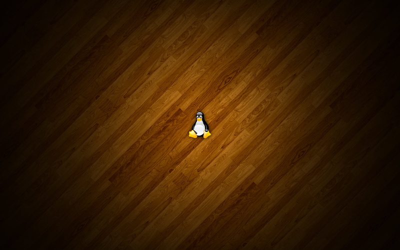 one person, illuminated, Linux, day, hardwood floor, wood - material, 1080P, real people, Computers, os, sunlight, walking, flooring, gives, full length