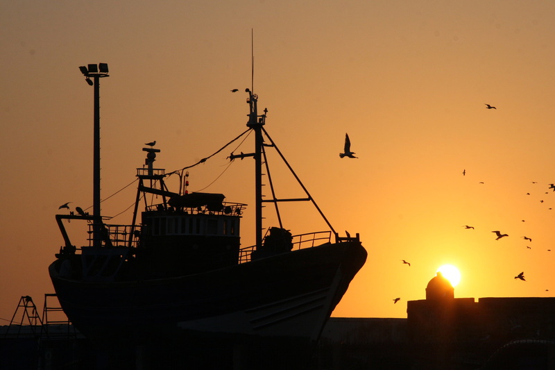 ship, animal wildlife, animal themes, sky, animals in the wild, no people, harbor, architecture, nature, nautical vessel, bird, orange color, boat, silhouette