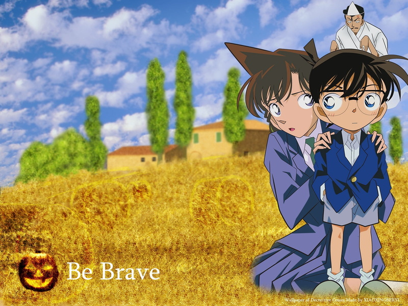 boys, outdoors, backgrounds, detective conan, family, women, land, plant, computer Graphic, child, man, detective, nature, conan, childhood