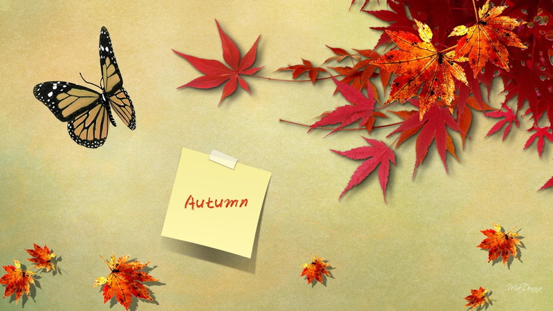 tree, illustration, autumn, leaves, post it note, fall, firefox persona, 1080P, butterfly, remember, simple, season, 3d and abstract, gold