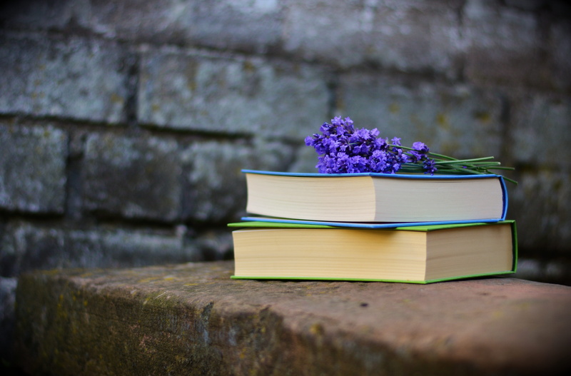 literature, knowledge, publication, water, vintage, wall - building feature, read, petaled, day, book, education, outdoors, summer, close-up, focus on foreground