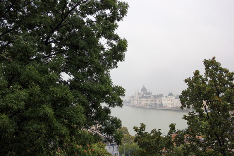 travel destinations, national, day, old, government, river, parliament, hungary, travel, house, tree, vacations, landmark, clouds, riverside, nature, sky
